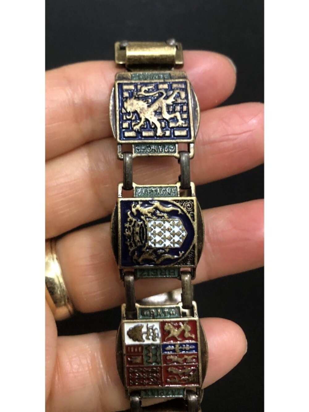 Vintage Enameled French Coat Of Arms Link Panel Bracelet 7”